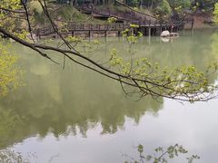 -宝岩生态观光园