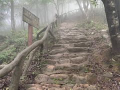 -梧桐山风景名胜区