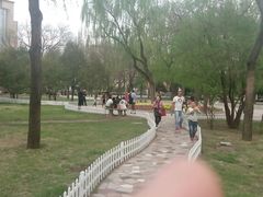 android_upload_pic-迎泽公园