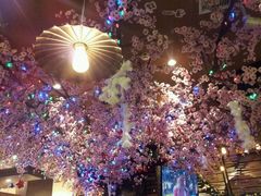 -波波's蛋糕店(于洪广场店)