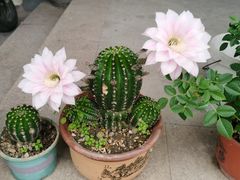 -丝绸小镇荻港古村
