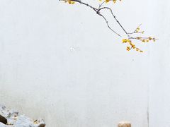 -拙政园
