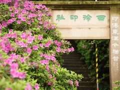 -西泠印社