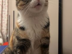 -新荟城(望京店)