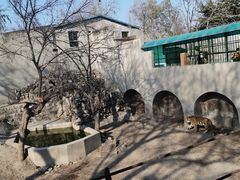 -保定市动物园