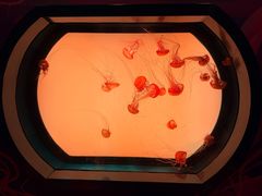 -沈阳海洋探索中心