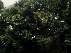 -常州古运河南大街文化旅游区-人民公园
