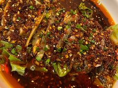 -铁公鸡·四川料理(天环广场店)