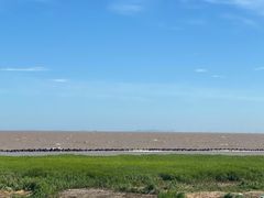 -南汇嘴观海公园