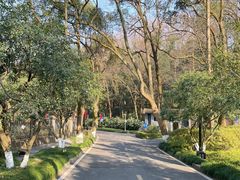 -杭州花家山庄