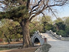 -北陵公园