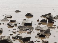 -深圳湾公园(南山区)