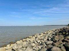 -上海吴淞炮台湾国家湿地公园