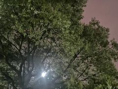 -复旦大学正大集团体育馆