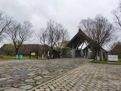 -鸿山遗址博物馆