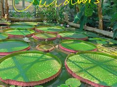 -国家植物园南园