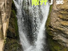 -牛背梁国家森林公园