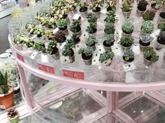 -KKV(深圳宏发大仟里店)