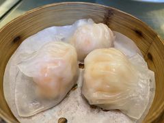 午市点心自助-苏州园区福朋喜来登酒店·聚味轩中餐厅