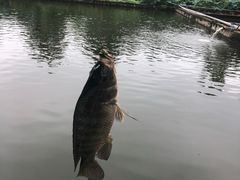 -特种渔场