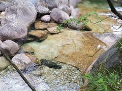 -黄山翡翠谷景区