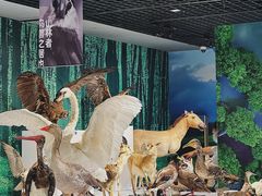 -中国湿地博物馆