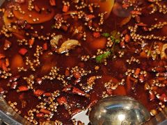 -味之绝热血美蛙鱼火锅(中坝店)