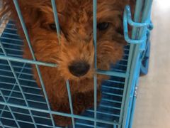 -乐宠宠物店(世纪金源店)