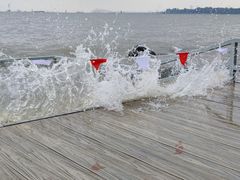 -上海吴淞炮台湾国家湿地公园