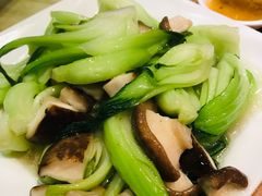 香菇青菜-新澳港式茶餐厅(余姚路店)