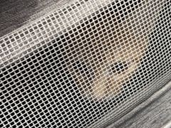 -创凡宠物医院·骨专科  猫科中心(西乡分院)