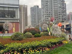 -中海环宇荟