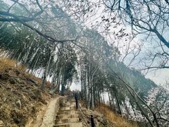 -北京十三陵国家森林公园蟒山景区