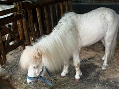 -巴倒烫陆派火锅山庄(南山总店)