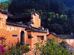 -杨家堂村