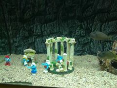 -北戴河圣蓝海洋公园