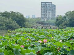 -金山公园