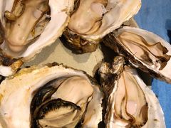 高压锅蒸蚝-千岛蚝高压锅生蚝·人参火锅(白云万达店)