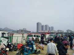 -灵山卫大集