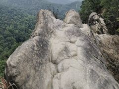 -南山植物园