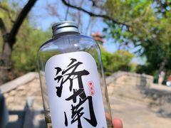 -趵突泉景区