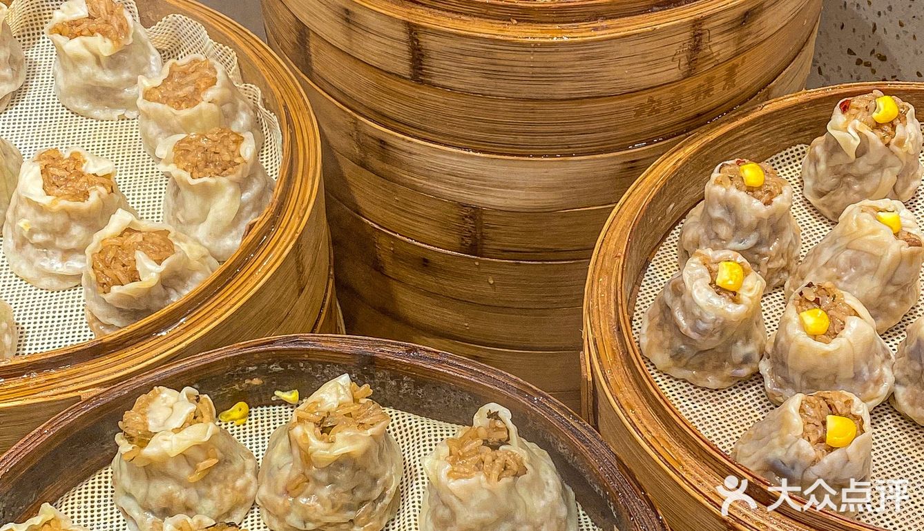 长沙居然有这么好吃炸卤烧麦‼️还不给我去吃🏃🏻‍♀️