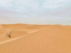 -迪拜沙漠冲沙