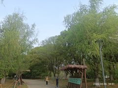 -梁鸿国家湿地公园