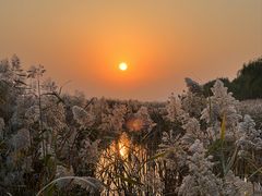 -野鸭湖国家湿地公园