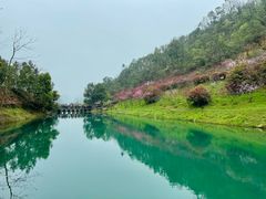 -桃花岭景区