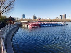 -莲花池公园