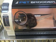 -芭比堂动物医院·犬猫全科·异宠专科(雁塔分院)