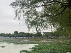 -鸣鹤古镇