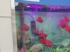 -雅悦齿科(顾村公园店)